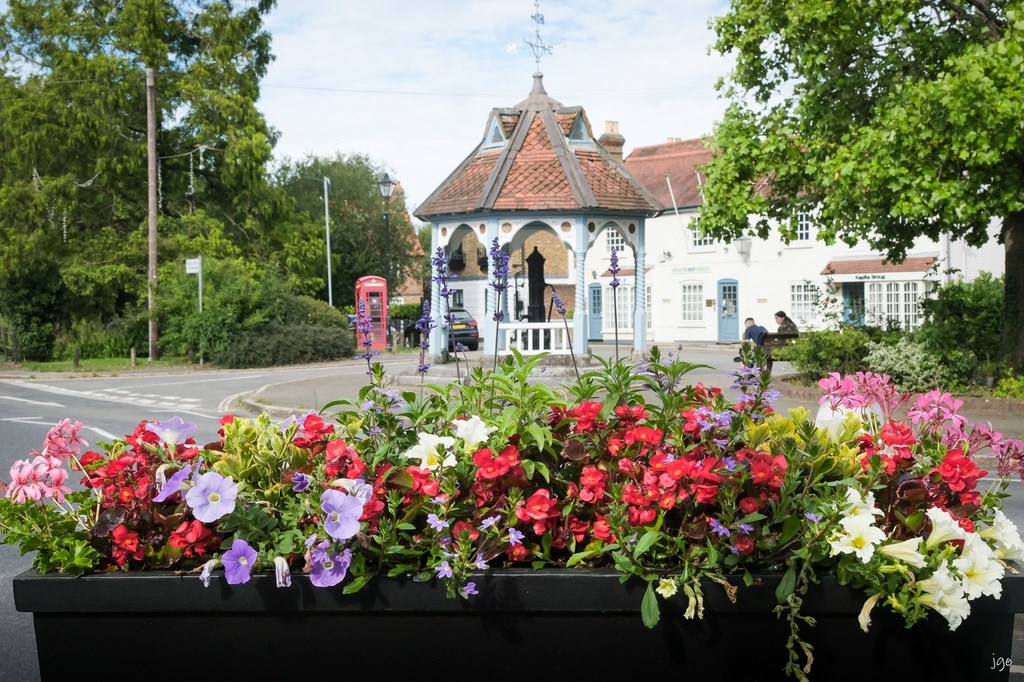 Autumn 2020 In Ickenham 6