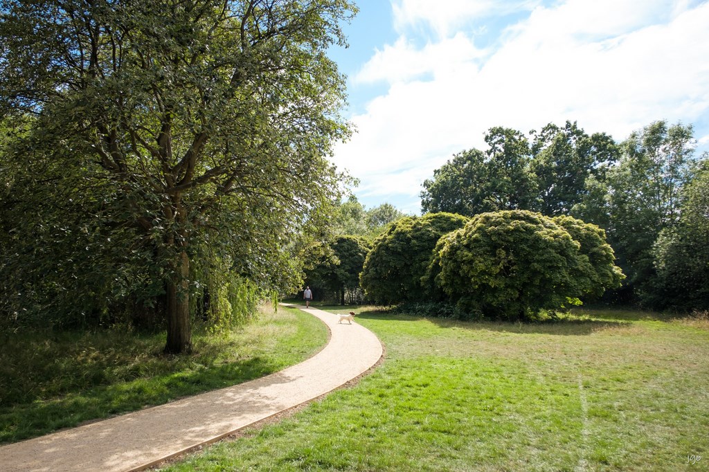 Autumn 2020 In Ickenham 4