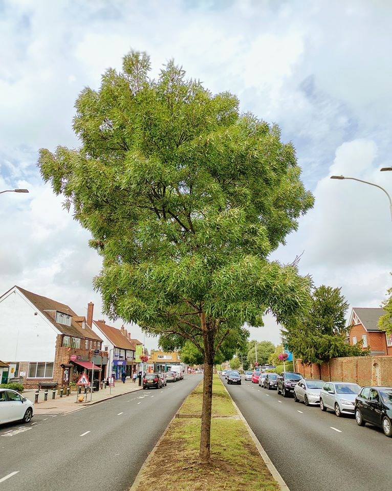 Ickenham In 2020 Swakeleys Road