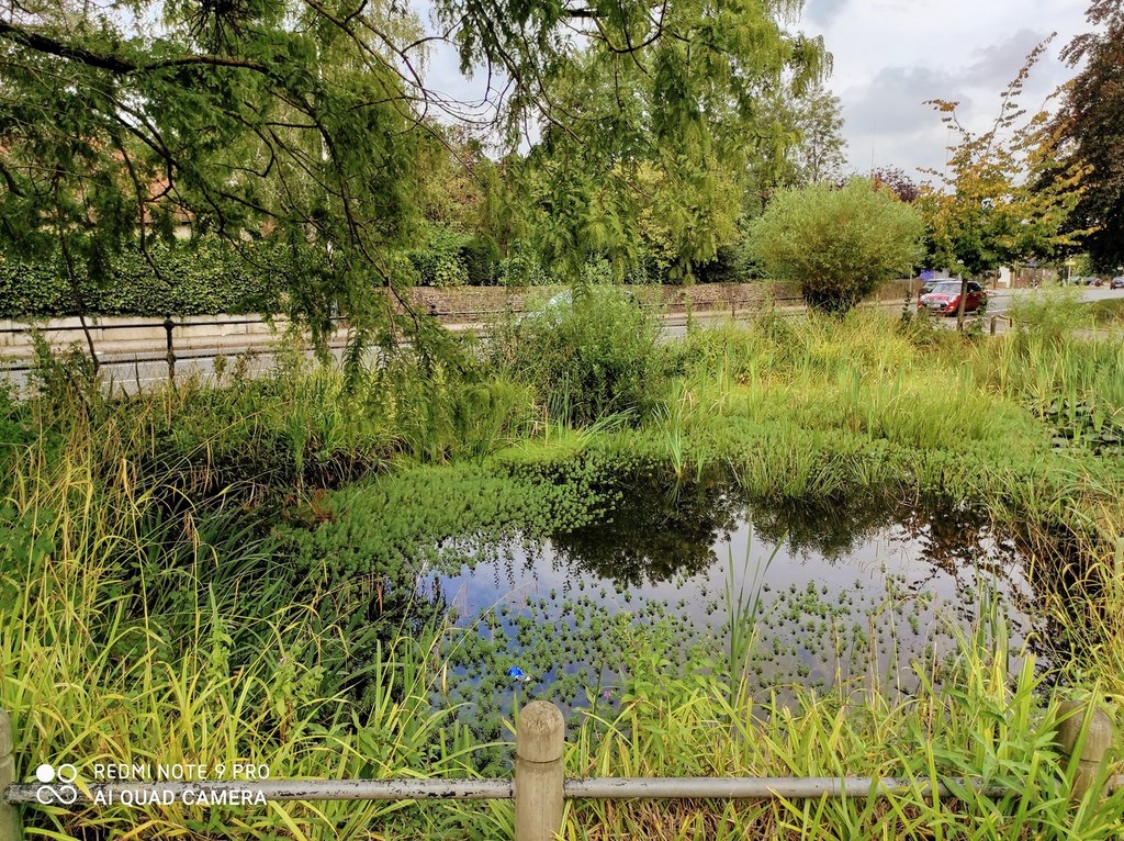 Ickenham In 2020 The Pond