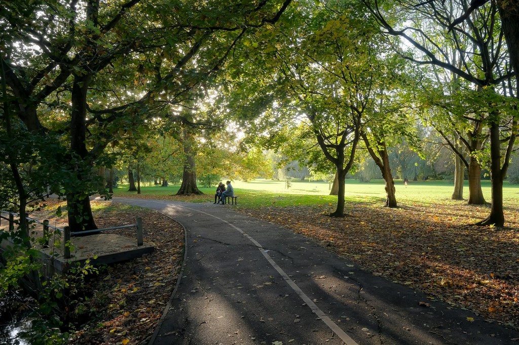 Autumn 2020 In Ickenham 11