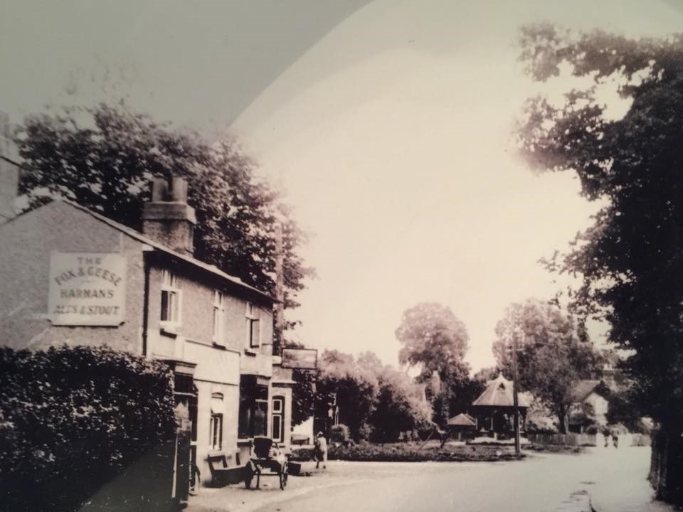 Fox and Geese Ickenham