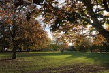 Autumn 2020 In Ickenham 12